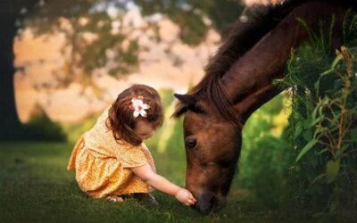 A little girl and a big horse