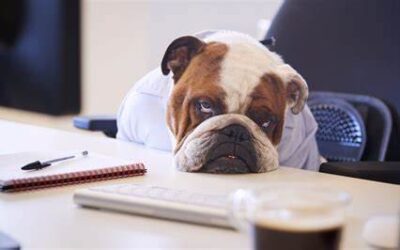 The upside of a boring life