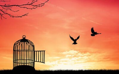 The difference between freedom and freedom